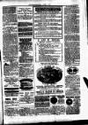 Clare Advertiser and Kilrush Gazette Saturday 07 March 1885 Page 5