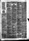 Clare Advertiser and Kilrush Gazette Saturday 07 March 1885 Page 7