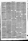 Clare Advertiser and Kilrush Gazette Saturday 11 April 1885 Page 3