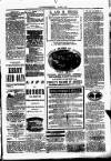 Clare Advertiser and Kilrush Gazette Saturday 11 April 1885 Page 5