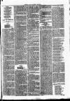 Clare Advertiser and Kilrush Gazette Saturday 11 April 1885 Page 7