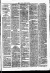 Clare Advertiser and Kilrush Gazette Saturday 09 May 1885 Page 7