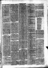 Clare Advertiser and Kilrush Gazette Saturday 30 May 1885 Page 3