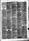 Clare Advertiser and Kilrush Gazette Saturday 30 May 1885 Page 7