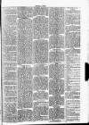 Clare Advertiser and Kilrush Gazette Saturday 09 January 1886 Page 3