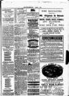 Clare Advertiser and Kilrush Gazette Saturday 09 January 1886 Page 5