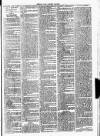 Clare Advertiser and Kilrush Gazette Saturday 16 January 1886 Page 7