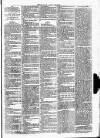 Clare Advertiser and Kilrush Gazette Saturday 06 February 1886 Page 7
