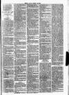 Clare Advertiser and Kilrush Gazette Saturday 13 February 1886 Page 7