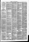 Clare Advertiser and Kilrush Gazette Saturday 27 February 1886 Page 7