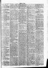 Clare Advertiser and Kilrush Gazette Saturday 06 March 1886 Page 3
