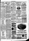 Clare Advertiser and Kilrush Gazette Saturday 20 March 1886 Page 5