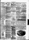 Clare Advertiser and Kilrush Gazette Saturday 24 April 1886 Page 5