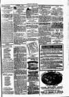 Clare Advertiser and Kilrush Gazette Saturday 15 May 1886 Page 5