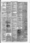 Clare Advertiser and Kilrush Gazette Saturday 15 May 1886 Page 7