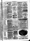 Clare Advertiser and Kilrush Gazette Saturday 05 June 1886 Page 5