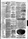Clare Advertiser and Kilrush Gazette Saturday 03 July 1886 Page 5