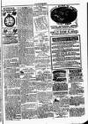 Clare Advertiser and Kilrush Gazette Saturday 04 December 1886 Page 5