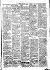 Clare Advertiser and Kilrush Gazette Saturday 01 January 1887 Page 7