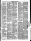 Clare Advertiser and Kilrush Gazette Saturday 15 January 1887 Page 7