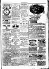 Clare Advertiser and Kilrush Gazette Saturday 05 February 1887 Page 5