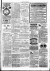 Clare Advertiser and Kilrush Gazette Saturday 12 March 1887 Page 5