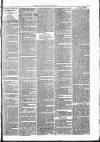 Clare Advertiser and Kilrush Gazette Saturday 12 March 1887 Page 7