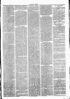 Clare Advertiser and Kilrush Gazette Saturday 19 March 1887 Page 3