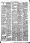 Clare Advertiser and Kilrush Gazette Saturday 26 March 1887 Page 7