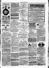 Clare Advertiser and Kilrush Gazette Saturday 02 April 1887 Page 5