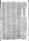 Clare Advertiser and Kilrush Gazette Saturday 16 April 1887 Page 3