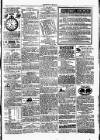 Clare Advertiser and Kilrush Gazette Saturday 16 April 1887 Page 5