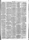 Clare Advertiser and Kilrush Gazette Saturday 25 June 1887 Page 3
