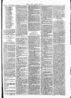 Clare Advertiser and Kilrush Gazette Saturday 25 June 1887 Page 7