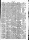 Clare Advertiser and Kilrush Gazette Saturday 30 July 1887 Page 3