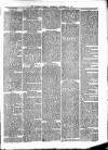 Kilrush Herald and Kilkee Gazette Thursday 18 December 1879 Page 3