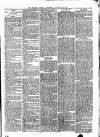 Kilrush Herald and Kilkee Gazette Thursday 22 January 1880 Page 3