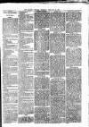 Kilrush Herald and Kilkee Gazette Thursday 12 February 1880 Page 3