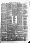 Kilrush Herald and Kilkee Gazette Saturday 01 June 1889 Page 3