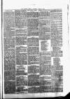 Kilrush Herald and Kilkee Gazette Saturday 22 June 1889 Page 3