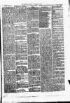 Kilrush Herald and Kilkee Gazette Saturday 17 August 1889 Page 3