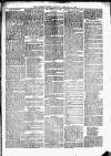 Kilrush Herald and Kilkee Gazette Saturday 15 February 1890 Page 3