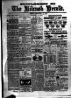 Kilrush Herald and Kilkee Gazette Friday 02 February 1900 Page 5