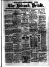 Kilrush Herald and Kilkee Gazette Friday 29 June 1900 Page 5