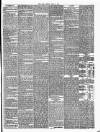 Evening Mail Friday 25 July 1873 Page 7