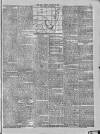 Evening Mail Friday 03 January 1890 Page 5
