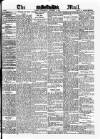 Evening Mail Wednesday 29 November 1899 Page 1