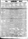 Evening Mail Monday 31 March 1919 Page 1