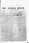Dundalk Herald Saturday 06 February 1869 Page 1