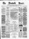Dundalk Herald Saturday 01 March 1873 Page 1